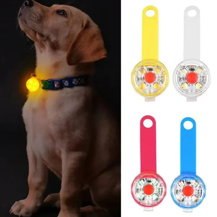 Dog collar, loss collar, weatherproof LED safety light, USB rechargeable LED light collar, dog, cat, pet - Image 2