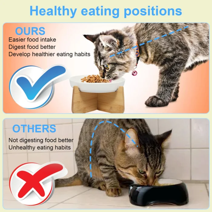 Raised Cat Bowl Elevated Cat Bowls with Wood Stand Ceramic Slow Feeder Bowl - Image 4