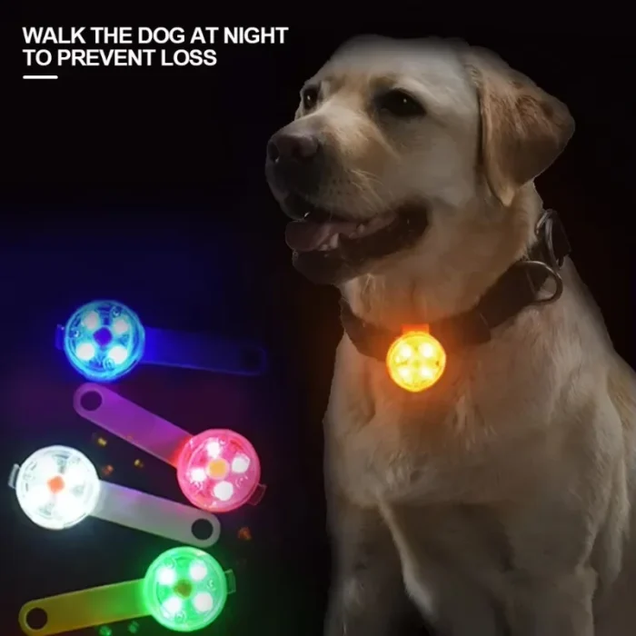 Dog collar, loss collar, weatherproof LED safety light, USB rechargeable LED light collar, dog, cat, pet - Image 3